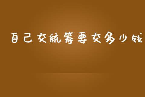 自己交统筹要交多少钱_https://wap.letulww.com_投资管理_第1张