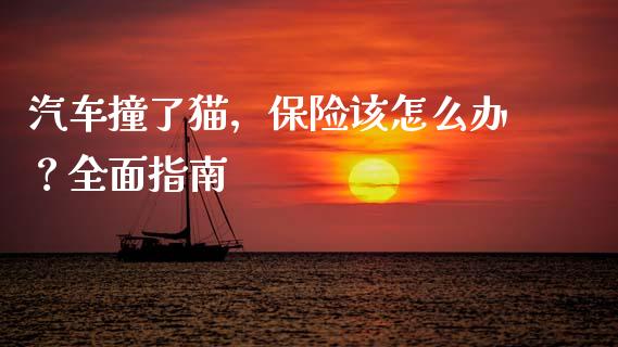 汽车撞了猫，保险该怎么办？全面指南_https://wap.letulww.com_投资管理_第1张