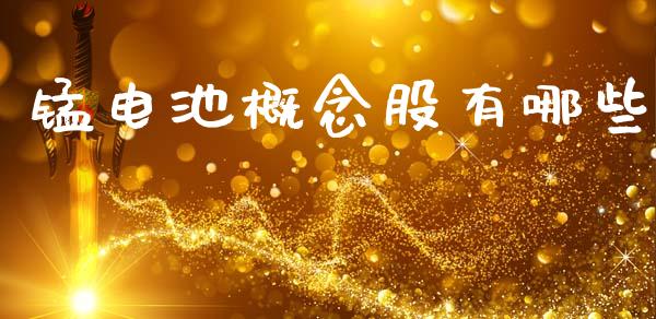 锰电池概念股有哪些_https://wap.letulww.com_投资策略_第1张