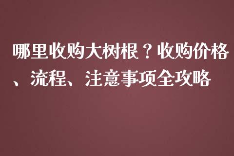哪里收购大树根？收购价格、流程、注意事项全攻略_https://wap.letulww.com_外汇交易_第1张