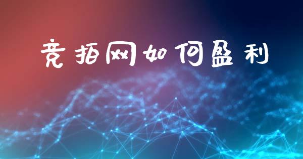 竞拍网如何盈利_https://wap.letulww.com_外汇交易_第1张