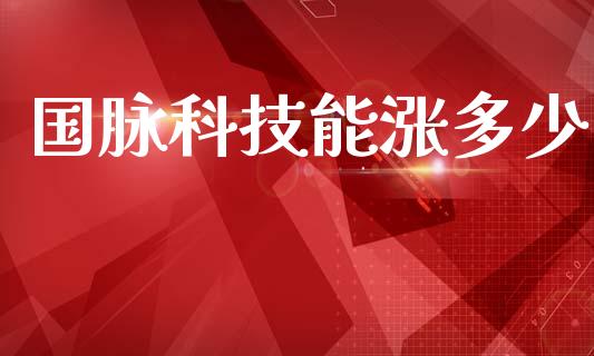 国脉科技能涨多少_https://wap.letulww.com_融资租赁_第1张