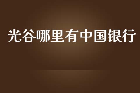 光谷哪里有中国银行_https://wap.letulww.com_投资策略_第1张