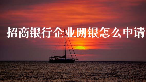 招商银行企业网银怎么申请_https://wap.letulww.com_投资策略_第1张