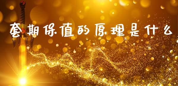 套期保值的原理是什么_融资租赁_第1张_外汇交易_投资策略_融资租赁_投资管理 套期保值的原理是什么_https://wap.letulww.com_融资租赁_第1张