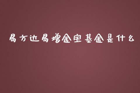 易方达易增金宝基金是什么_https://wap.letulww.com_投资管理_第1张