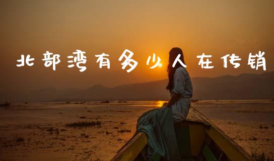 北部湾有多少人在传销_https://wap.letulww.com_投资管理_第1张