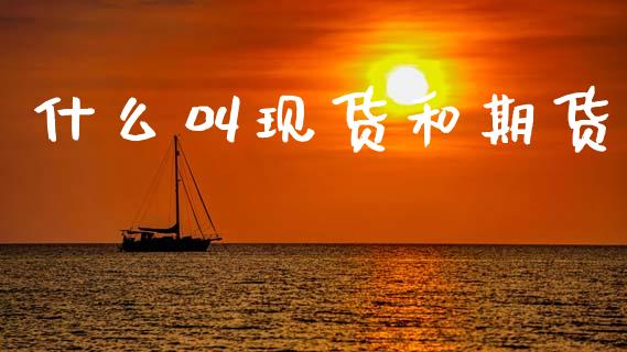 什么叫现货和期货_https://wap.letulww.com_投资策略_第1张