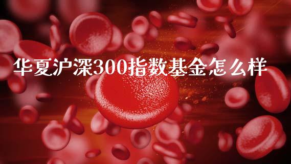 华夏沪深300指数基金怎么样_https://wap.letulww.com_外汇交易_第1张