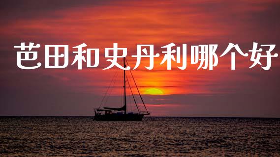 芭田和史丹利哪个好_https://wap.letulww.com_投资策略_第1张