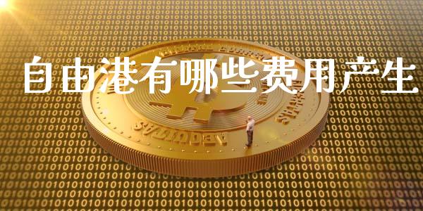 自由港有哪些费用产生_https://wap.letulww.com_投资管理_第1张
