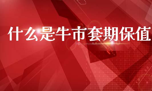 什么是牛市套期保值_https://wap.letulww.com_融资租赁_第1张