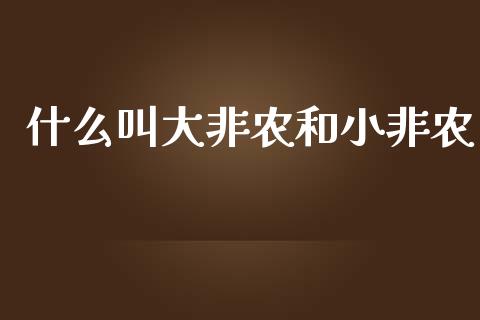 什么叫大非农和小非农_https://wap.letulww.com_外汇交易_第1张