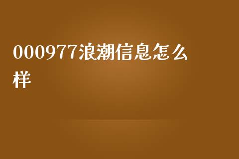 000977浪潮信息怎么样_https://wap.letulww.com_融资租赁_第1张