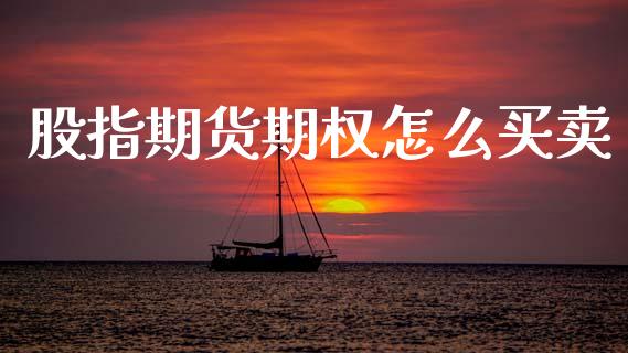 股指期货期权怎么买卖_https://wap.letulww.com_投资策略_第1张