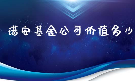 诺安基金公司价值多少_https://wap.letulww.com_外汇交易_第1张