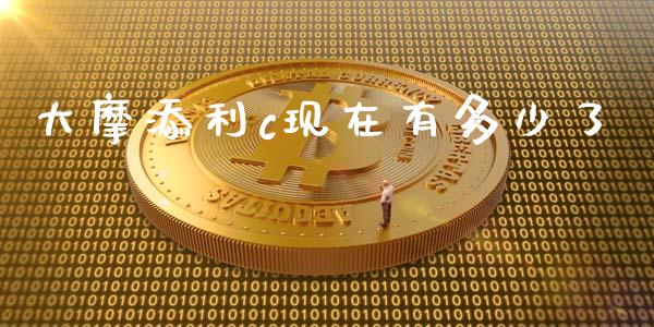 大摩添利c现在有多少了_https://wap.letulww.com_投资策略_第1张