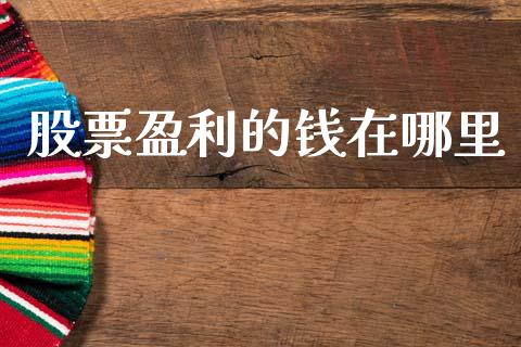 股票盈利的钱在哪里_https://wap.letulww.com_投资策略_第1张