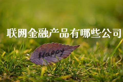 联网金融产品有哪些公司_https://wap.letulww.com_外汇交易_第1张