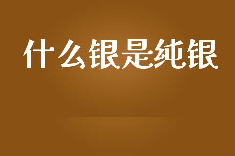 什么银是纯银_https://wap.letulww.com_投资策略_第1张