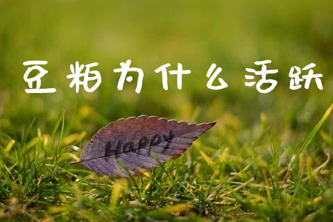 豆粕为什么活跃_https://wap.letulww.com_外汇交易_第1张