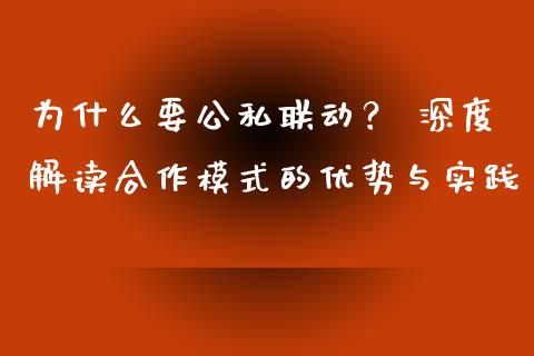 为什么要公私联动？ 深度解读合作模式的优势与实践_https://wap.letulww.com_投资策略_第1张
