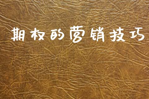 期权的营销技巧_https://wap.letulww.com_投资管理_第1张