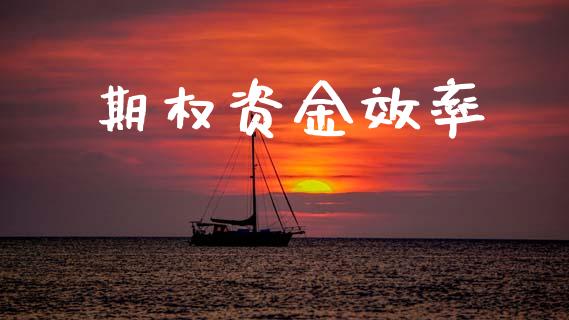 期权资金效率_https://wap.letulww.com_外汇交易_第1张