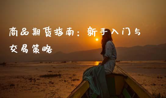商品期货指南：新手入门与交易策略_https://wap.letulww.com_融资租赁_第1张