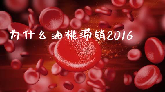 为什么油桃滞销2016_https://wap.letulww.com_投资策略_第1张