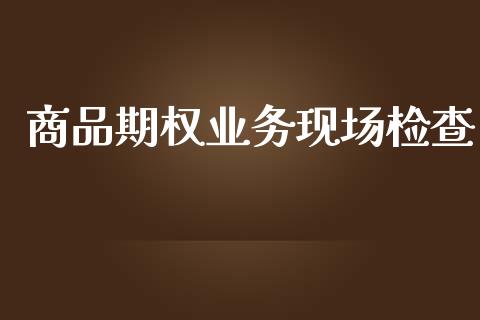 商品期权业务现场检查_https://wap.letulww.com_融资租赁_第1张