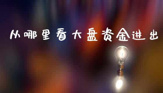 从哪里看大盘资金进出_https://wap.letulww.com_投资管理_第1张