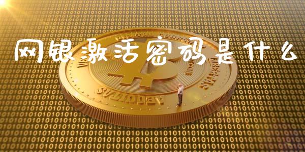 网银激活密码是什么_https://wap.letulww.com_投资管理_第1张