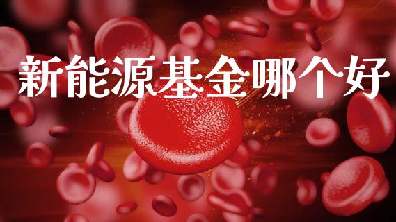 新能源基金哪个好_https://wap.letulww.com_投资策略_第1张