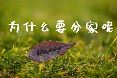 为什么要分家呢_https://wap.letulww.com_融资租赁_第1张