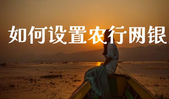 如何设置农行网银_https://wap.letulww.com_投资策略_第1张