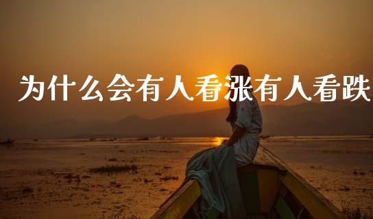 为什么会有人看涨有人看跌_https://wap.letulww.com_融资租赁_第1张