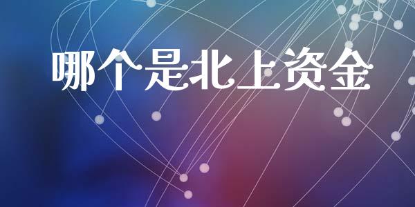 哪个是北上资金_https://wap.letulww.com_外汇交易_第1张