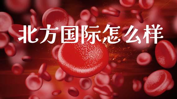 北方国际怎么样_https://wap.letulww.com_投资管理_第1张