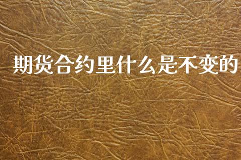 期货合约里什么是不变的_https://wap.letulww.com_投资策略_第1张