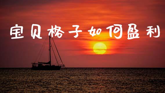 宝贝格子如何盈利_https://wap.letulww.com_融资租赁_第1张