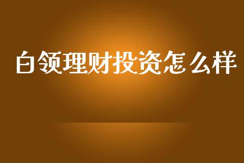 白领理财投资怎么样_https://wap.letulww.com_投资管理_第1张