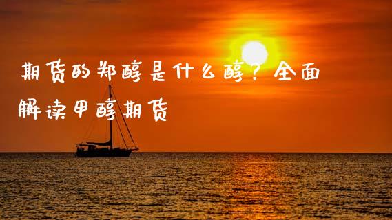 期货的郑醇是什么醇？全面解读甲醇期货_https://wap.letulww.com_外汇交易_第1张