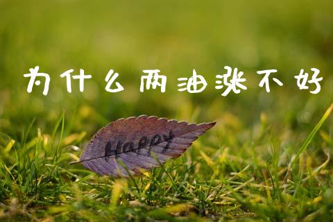 为什么两油涨不好_https://wap.letulww.com_投资管理_第1张