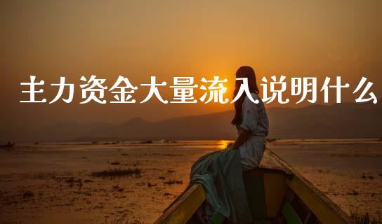 主力资金大量流入说明什么_https://wap.letulww.com_外汇交易_第1张