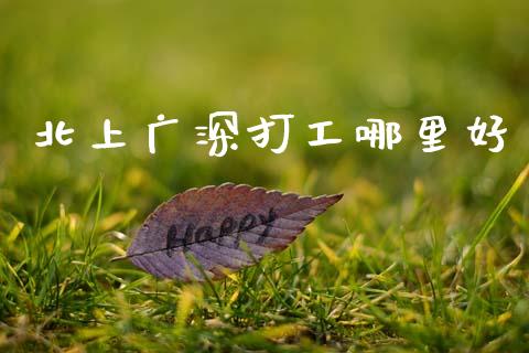 北上广深打工哪里好_https://wap.letulww.com_投资管理_第1张