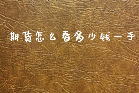 期货怎么看多少钱一手_https://wap.letulww.com_外汇交易_第1张