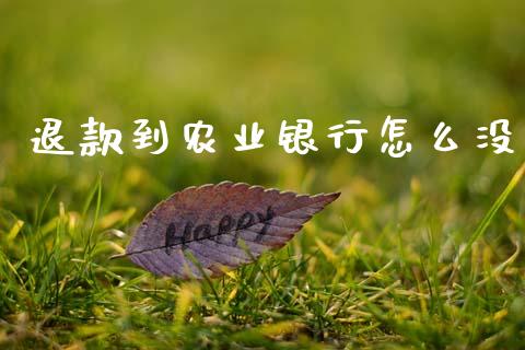 退款到农业银行怎么没_https://wap.letulww.com_投资策略_第1张