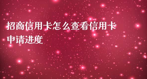 招商信用卡怎么查看信用卡申请进度_https://wap.letulww.com_融资租赁_第1张