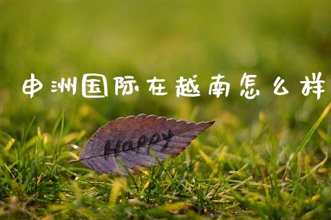 申洲国际在越南怎么样_https://wap.letulww.com_投资管理_第1张